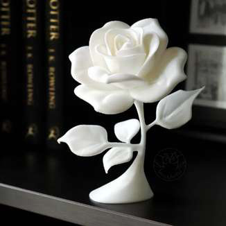 Flor